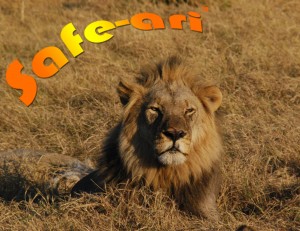 LionBanner